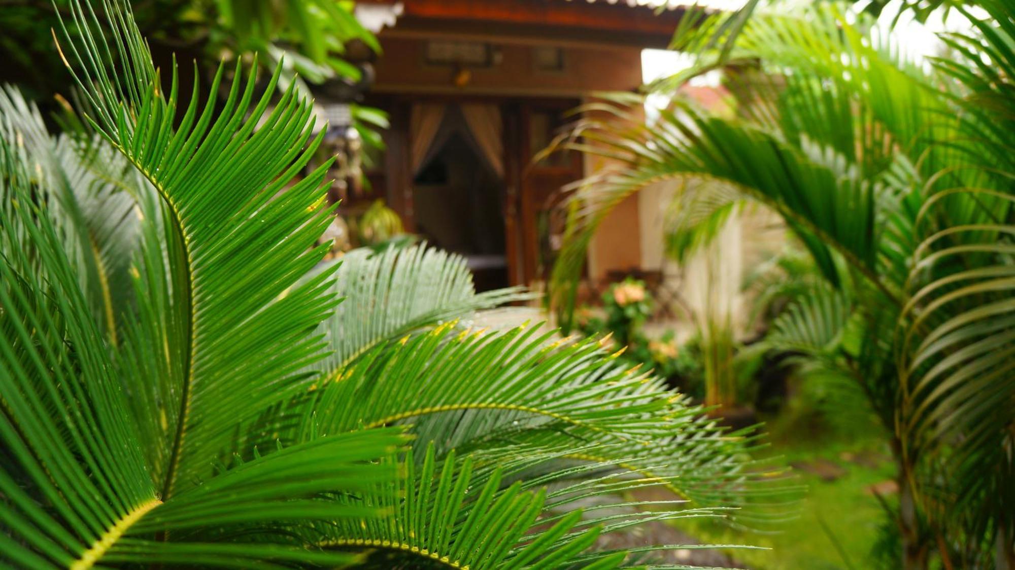 Rumahku Homestay 아메드 외부 사진